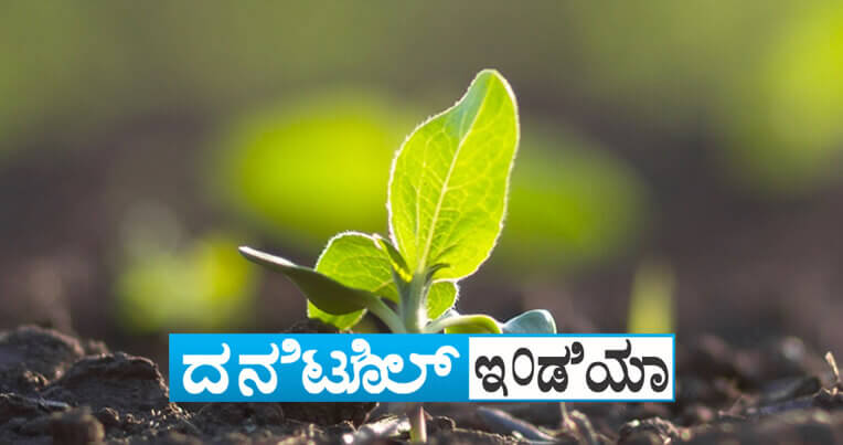 Sumitomo Danitol Website Banner for Mobile kannad 1