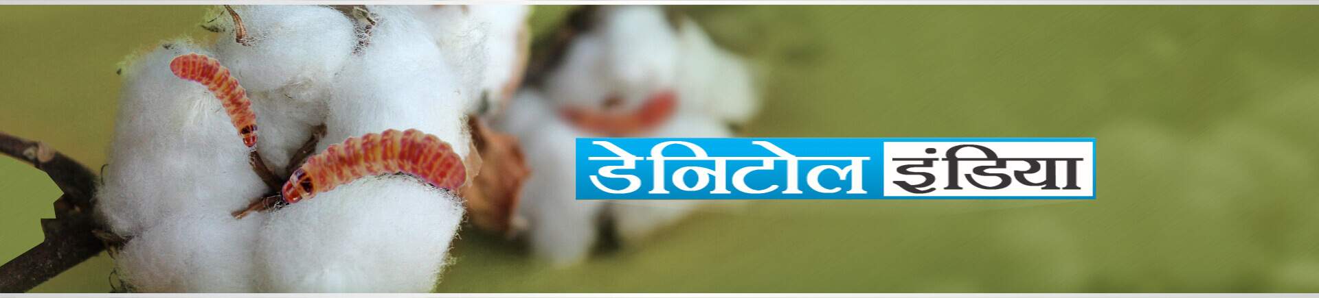 Sumitomo Danitol Website banner hindi